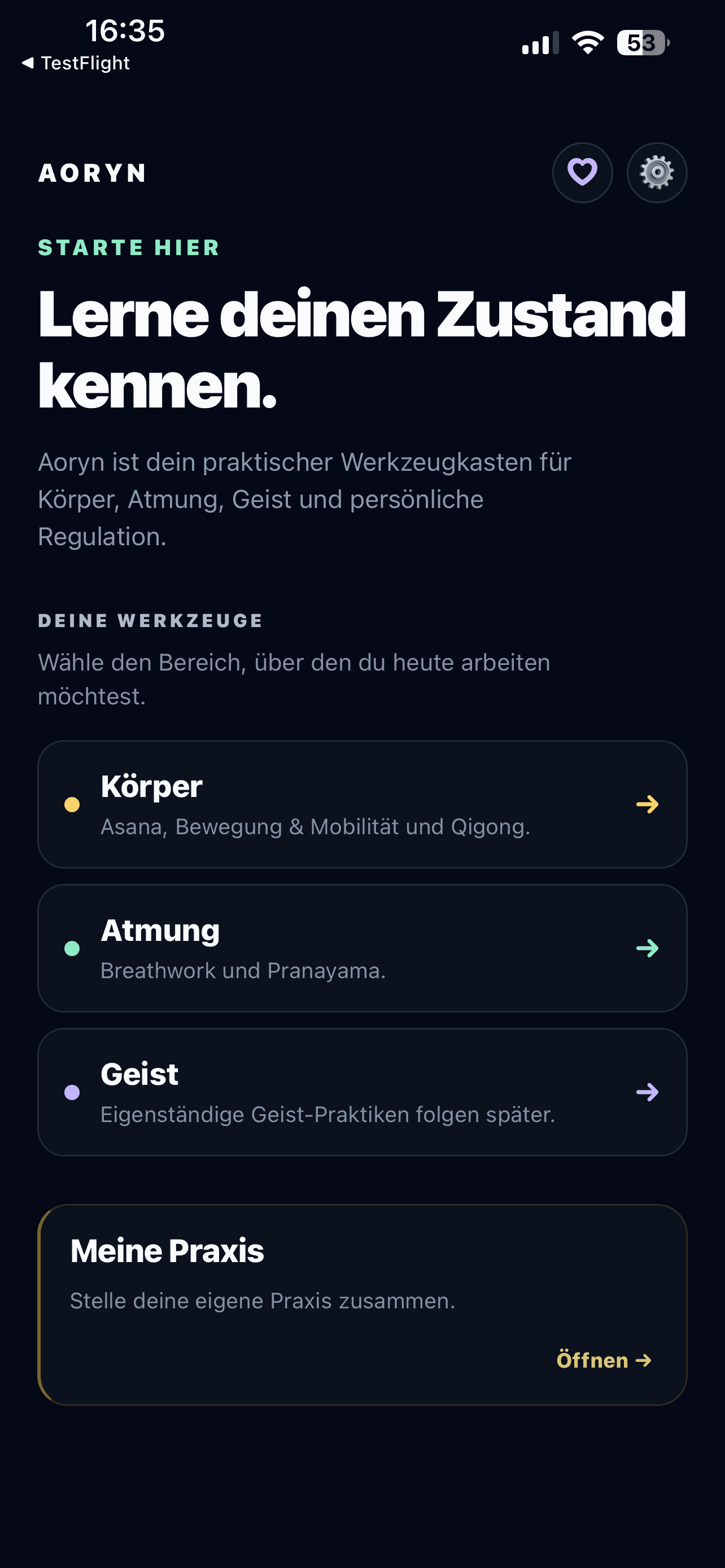Aoryn Startseite Lerne deinen Zustand kennen